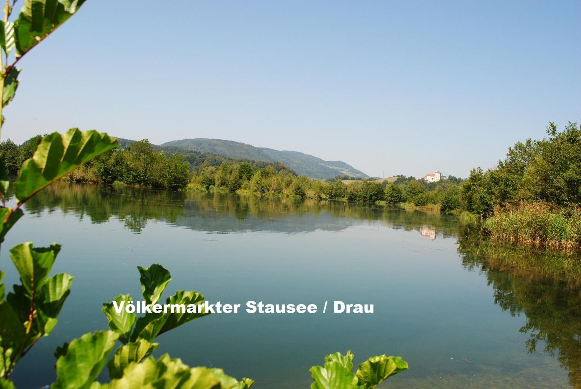 Gasthof Waldwirt Sankt Kanzian am Klopeiner See المظهر الخارجي الصورة